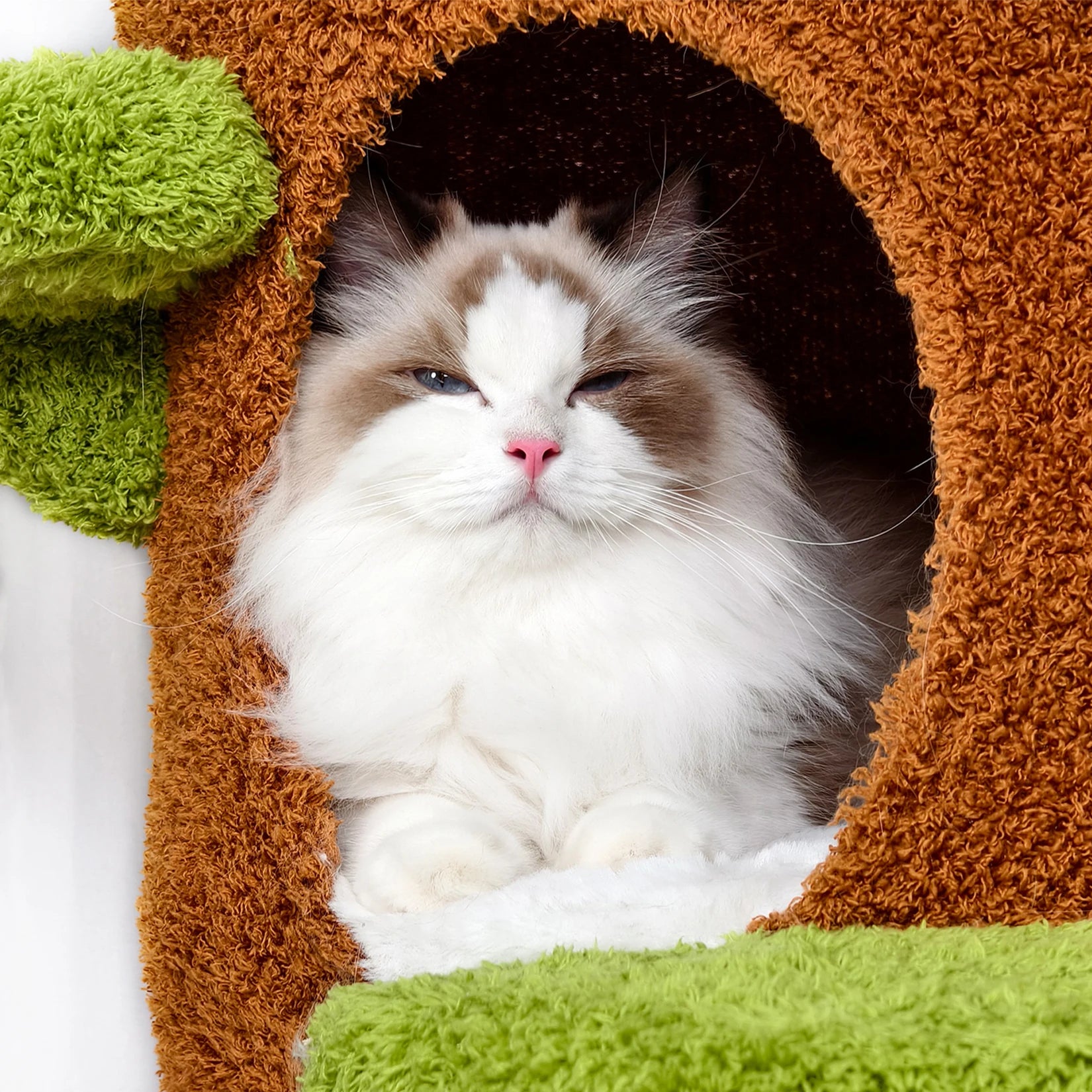 58.2” Tall Cat Tree  with Luxury Cat Condo